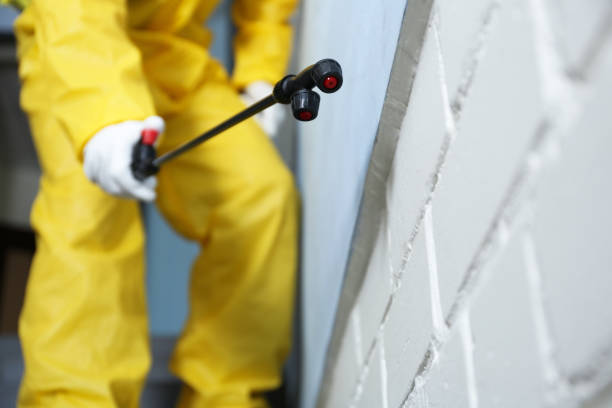 Best Emergency Pest Control  in Hauppauge, NY